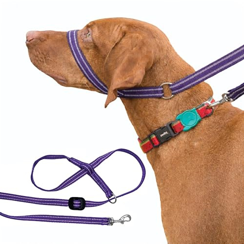 Gencon - Clip-to-Collar Dog Headcollar and Lead - Trainer Approved - One Size Dog Training & Behaviour Aid - Soft & Gentle Design with Trigger Clip - Left - Made in Britain - Purple/Pink