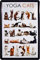 WOGEKA ART Retro Blechschild - Yoga cats - witzige Katzenrassen Übersicht - witziger Spruch als Geschenk-Idee Geburtstag Weihnachten Dekoration 20x30 cm Vintage-Design Metall 180
