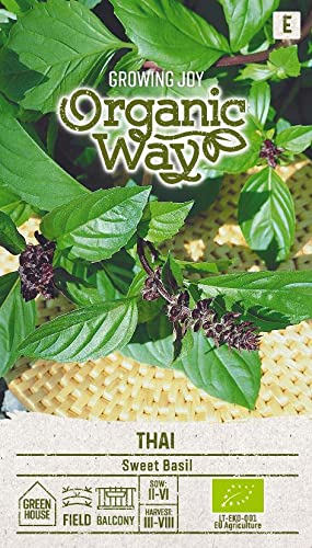 Organic Way | BASILIKUM THAI samen | Kräutersamen | Pflanze samen| Basilikumsamen | Gardensamen | 1 Pack