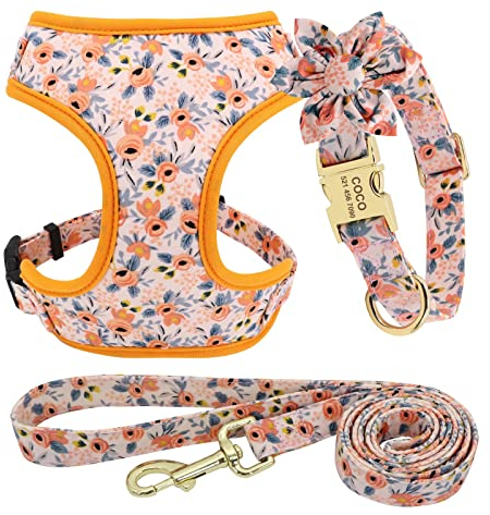 Beirui Personalisierbares geschirre, halsbã¤nder & leinen fã¼r Hunde, niedliches Mädchen-Hundehalsband und Leine Set mit Abnehmbarer Blume, weiches Netz hundegeschirr kleine mittelgroße Grosse Hunde