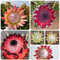50 pcs Protea Pflanze Samen, topfpflanzen draußen winterhart, frühlingsblume Protea Seeds - Protea Pflanze - wildblumenwiese saatgut mehrjährig, kübelpflanzen deko blumen, bonsai samen