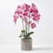 Homescapes extra große Kunstorchidee im Topf, hochwertige künstliche Orchidee mit rosa Blüten, XXL-Deko-Orchidee Phalaenopsis im hellgrauen Übertopf, dekorative Kunstblume, 82 cm hoch