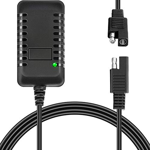 Weewooday 6V Charger for Ride On Car, 6V Battery Charger for Ride on Toys with Charging Indicator Light for SUV Electric Carriage Ride Toy Battery Supply Power Accessories