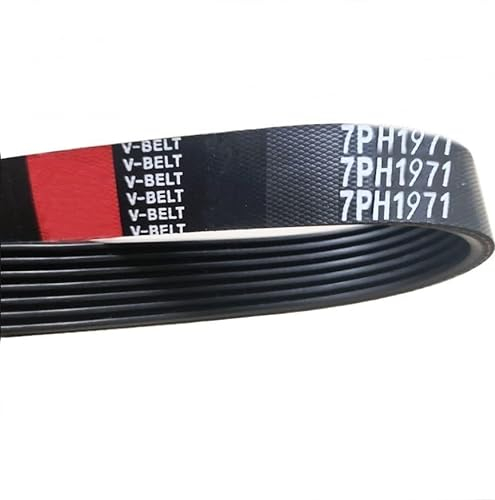 Sankuai Cinghia 7PH 1971 Compatibile con asciugatrice(136603300)