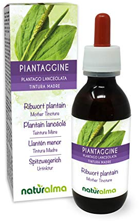 Spitzwegerich oder Lungenblattl (Plantago lanceolata) Blätter Alkoholfreier Urtinktur Naturalma - Flüssig-Extrakt Tropfen 120 ml - Nahrungsergänzungsmittel - Veganer
