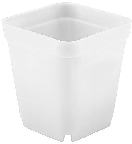 Atyhao 20pcs Mini macetas de Plantas suculentas Modernas pequeños recipientes de plástico, macetas cuadradas para Fregar(Blanco)