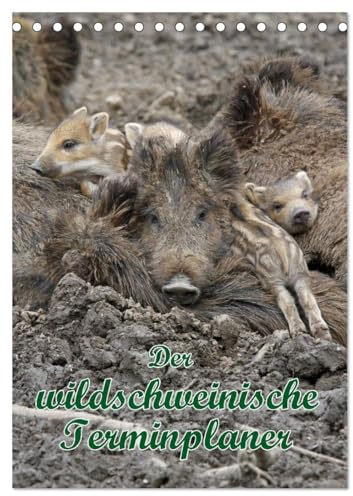 Der wildschweinische Terminplaner (Tischkalender 2026 DIN A5 hoch), CALVENDO Monatskalender: Schwarzkittel in heimischen Wäldern (CALVENDO Tiere)