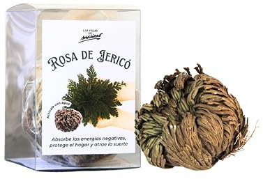 Rosa de Jericó – Planta Mágica para Limpieza, Protección y Abundancia | Renacimiento Espiritual y Atracción de Suerte | Incluye Oración e Instrucciones de Uso