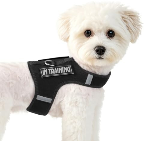 Sunraymascota Welpen-Geschirr für kleine Hunde + 2 Klettpatches,Schwarz,XXS | D-Ring, schnelles An- und Ausziehen, leicht und atmungsaktiv – ideal für Spaziergänge und Training mit dem Hund