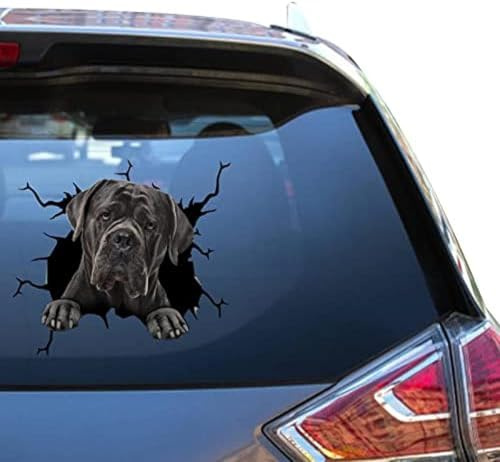 ZCHZCS Cane Corso-Zubehör, Cane Corso-Fensteraufkleber, Vynal-Autosticker Für Mädchen, Lustige Vynil-LKW-Aufkleber