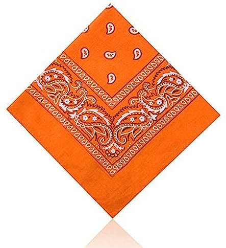 Lizzy Paisley Multifunctional Bandana's Headwear Neckwear Neckerchief Cycling Cowboy Scarf Head Neck Gaiter - Mens Womens Multipack Assorted Men Hair Pirate Bandana (Orange)