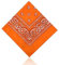 Lizzy Paisley Multifunctional Bandana's Headwear Neckwear Neckerchief Cycling Cowboy Scarf Head Neck Gaiter - Mens Womens Multipack Assorted Men Hair Pirate Bandana (Orange)