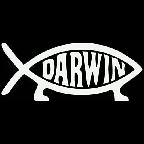 MACMRD Auto Aufkleber 13 cm * 5 cm Lustiger Autoaufkleber Darwin Fisch Cartoon Styling Zubehör PVC Aufkleber