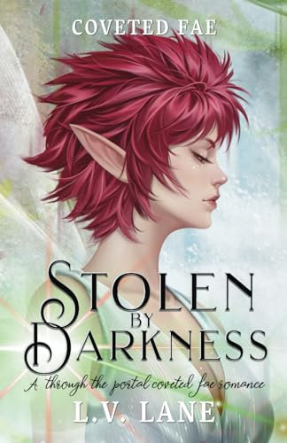 Stolen by Darkness: A through the portal coveted fairy romance (Coveted Fae, Band 3)