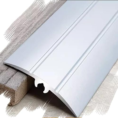 NILZA Metall Übergangsleiste Teppichkantenleiste 55mm Übergangsschiene Boden Türleiste Abschlussleiste Vinylboden Leiste Übergangsprofil Leicht (Color : Silver, Size : W40MM-1pc)