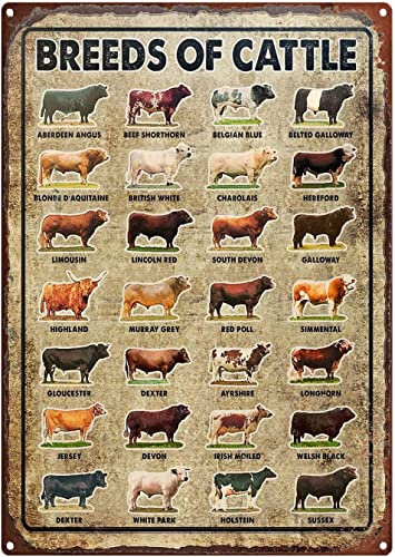 Targa in metallo vintage per razze di bestiame da garage, cartello in metallo, cartello di mucca, razze bovine, animali da fattoria, regali di mucca, tipi di mucche, cartello retrò in metallo, 30,5 x