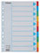 Esselte A4 Ordner-Register, 10er-Set mit je 10 farbigen Trennblättern und einem Deckblatt, für Ringbücher und Ordner mit Hebelmechanik, aus langlebigem, umweltfreundlichem Recycling-Karton, 100193