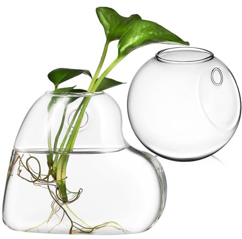 Cabilock Terrarios Colgantes Estaciones de Propagación de Vidrio Soporte para Plantas Acuáticas de Pared Decoraciones con Vegetación para Interiores
