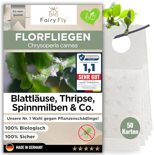 FairyFly® Florfliegenlarven gegen Blattläuse & Wollläuse (50 Karten) – Nützlinge zum Aufhängen für Zimmerpflanzen – biologische Schädlingsbekämpfung ohne Chemie – Florfliegen Eier