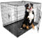 DogCrates+ Extra Large Foldable Dog Crate with 2 Doors, Non-Chew Metal, Removable Tray, 42-Inch Black
