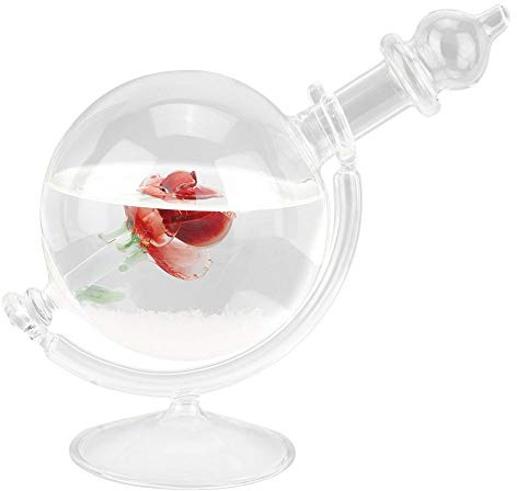 Stazione meteorologica delle previsioni del tempo in vetro, bottiglia di cristallo Globo a forma di acqua Tempesta di Vetro Predittore meteorologico in vetro Barometro Bottiglia Decorazioni for la cas