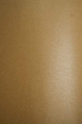 Netuno 20x Bastelkarton Kraft mit Glitzer DIN A4 21 x 29,7 cm 300g Aster Metallic Rustic Coop Dust Kraftkarton glänzend Pearlkarton Perlglanz Bastel Karton Perlmutt Glanz Effektkarton Kraftpapier