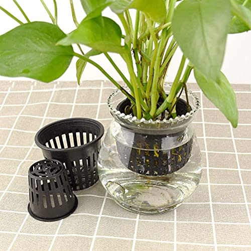Duokon 10 Piezas de Alta Resistencia para plantación hidropónica, hidroponico Maceta de Malla, Red, Cesta de plástico, Planta de jardín, Taza de Cultivo, Planta, clon, Uso de jardinería (Negro)