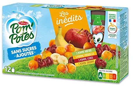 Materne Pom'Potes Compotes Sans Sucres Ajoutés 4 Parfums 12x90g