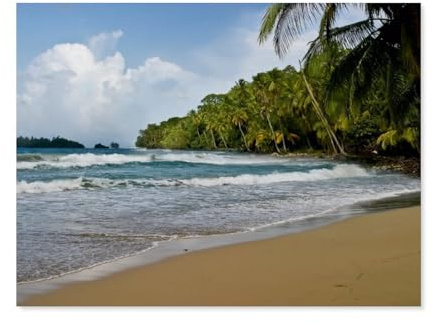 Puzzle 1000 Teile für Erwachsene，Red Frog Beach，Klassische Puzzle Teenager Jungen Mädchen Puzzle DIY Moderne Wohnkultur Einzigartiges Geschenk Intellektuelles Spiel（75x50cm）-AR16