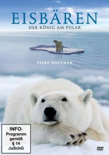 Eisbären - Der König am Polar - Tiere hautnah