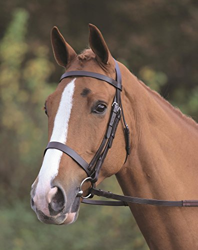 Shires Aviemore Uni Trensenzaum mit Gummi Grip Zügel – Schwarz schwarz schwarz Volle Größe