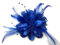 Pince à cheveux avec plumes et fleurs