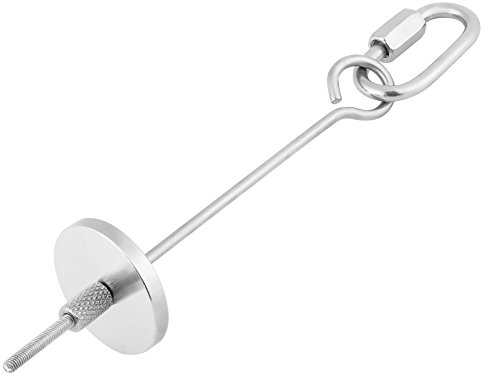 Brocheta de Loro de Acero, Comedero Pajaros Pincho Loro Inoxidable Cadena Alimenticia Alimento Carne Palillo De Fruta Lanza Pequeña Herramienta de Tratamiento de Aves Pájaro(S)