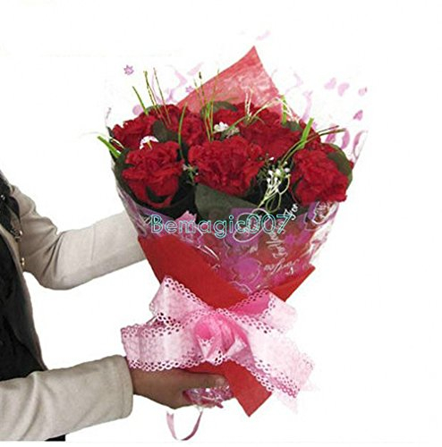 Des Tour de Magie/Stage Magic Tricks Blumenstrauß / Blooming Bouquet