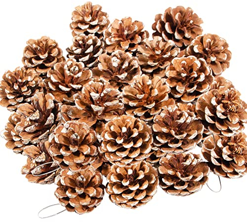 ZYP 24 Stück natürliche Tannenzapfen, 5,1 cm, rustikale Tannenzapfen, Großpackung Ornamente mit Schnur für Weihnachten, Erntedankfest, Herbst, Party, Basteln, Dekorationen