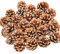 ZYP 24 Stück natürliche Tannenzapfen, 5,1 cm, rustikale Tannenzapfen, Großpackung Ornamente mit Schnur für Weihnachten, Erntedankfest, Herbst, Party, Basteln, Dekorationen