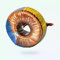 Transformador toroidal T300para focos clase II 300VATOSCANO 10002943