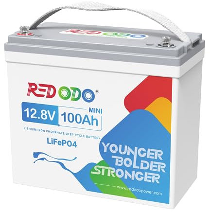 Redodo Batterie LiFePO4 12V 100Ah Mini, Rechargeable Petit Poids léger Lithium Batteries, BMS 100A Intégré, 4000 Cycles pour Caravanes, Bateaux, Camping-Cars, Maison Solaire, Hors-Réseau