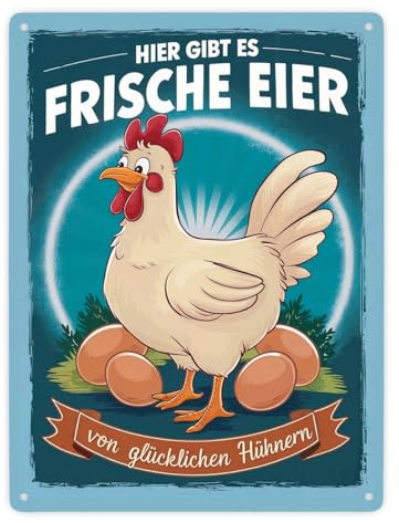Frische Eier von glücklichen Hühnern Metallschild XXL in 28x38 cm Mit Huhn mit weißem Federkleid und rotem Kamm auf robustem Schild ideal für den Hofladen