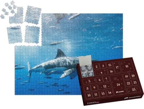 puzzleYOU: Puzzle-Adventskalender | „Weißer Hai in Mexiko“ – aus der Puzzle-Kollektion Haie, Raubtiere, Fische & Wassertiere