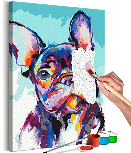 murando - Malen nach Zahlen Tiere Hund Bulldog bunt 40x50 cm Malset mit Holzrahmen auf Leinwand für Erwachsene Kinder Gemälde Handgemalt Kit DIY Geschenk Dekoration n-A-1124-d-a