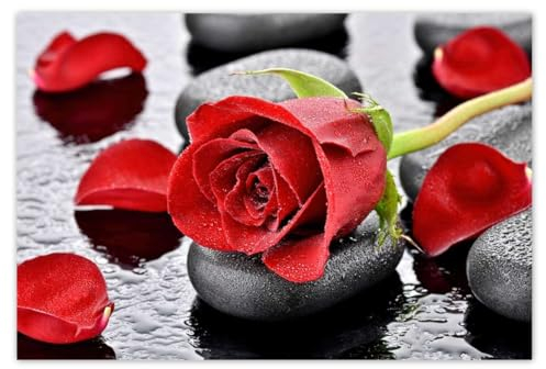 Vlies Premium Vlies Tapete 104x70cm Rote Rosen Steine No.H1856M_TV5BL