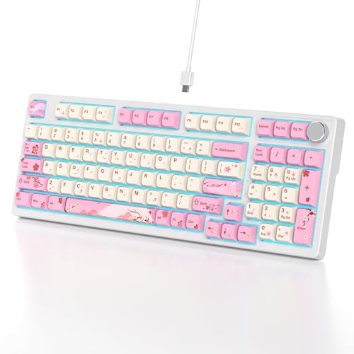 Ussixchare Wired Creamy Gaming Keyboard with Number Pad, 96% Hot-swappable Mechanical Keyboard, Full Layout Custom Key Board Gasket Mounted with Red Switch Knob Control(Pink)
