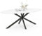 IDMarket - Esstisch, oval, Alix, 10 Personen, Spinnenfuß, Schwarz und Platte in Marmor-Optik, Alaska, 200 cm, Weiß