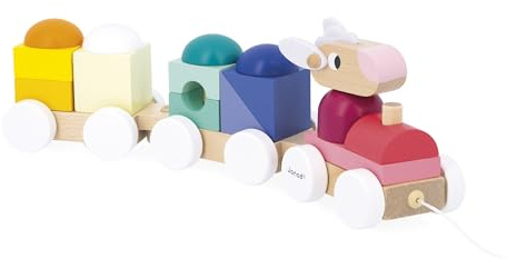 Janod – Holzschiebezug mit Schaf – 2 Waggons und 15 Teile – 2-in-1-Entwicklungsspielzeug Zug und Baukasten – FSC-Holz und Wasserfarbe – Fördert die Feinmotorik – Ab 12 Monaten