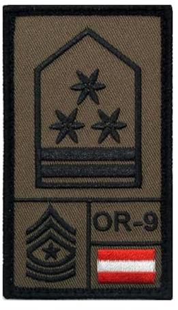 Café Viereck ® Offiziersstellvertreter Österreich – Bundesheer Rank Patch mit Dienstgrad – Gestickt mit Klett – OR-9 Klett Militär Patch – 9,8 cm x 5,6 cm