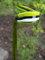 Glasfiguren Bastick Orchideenstab - Blumenstab-Orchideenst