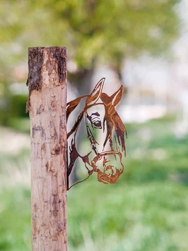 Rostalgie Edelrost Tierfiguren/Tierköpfe für Holz Gartendekoration Bauernhoftiere (Pferdekopf)