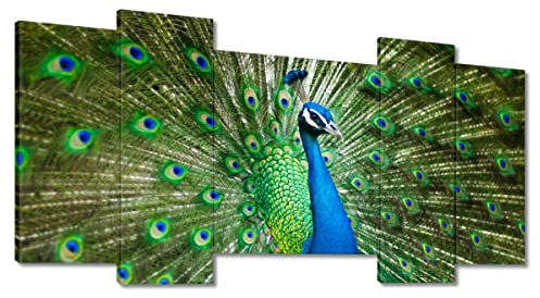 Gemälde auf Leinwand, 120 x 65 cm, Pfau während der Paarungszeit Nr. H8478M_PC5CC