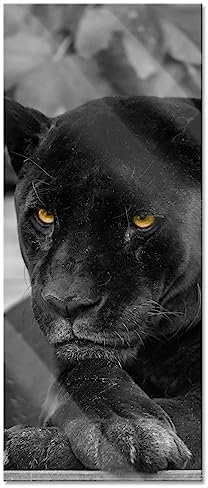 Pixxprint Glasbild Panorama, Wandbild aus Echtglas, schwarzer Panther, 100x40 cm, inkl. Aufhängung und Abstandshalter